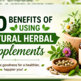 top-10-herbal-recipes-traditional-herbal-drinksff