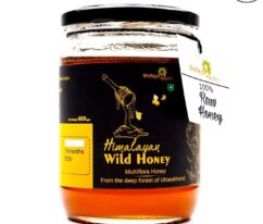 Himalayan Wild Honey From Uttarakhand Forests