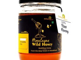 Himalayan Wild Honey From Uttarakhand Forests